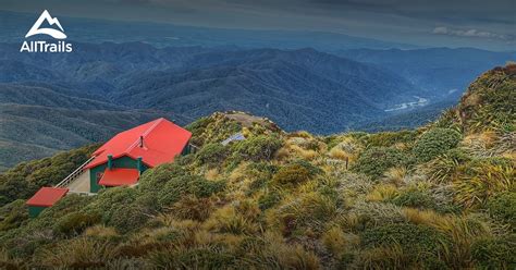 10 Best hikes and trails in Tararua Forest Park | AllTrails