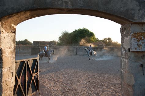 THE LAST VAQUERO ”The Real Cowboy – by One of Them” - Equilife World