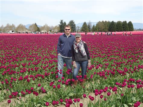 Tulip Festival - Mt. Vernon, Washington | Tulip festival, Life is ...