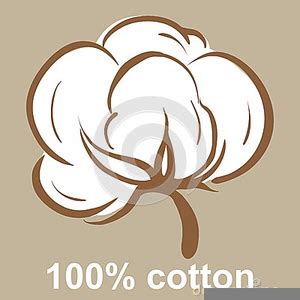 Cotton Boll Clipart Image | Cotton boll, Cotton painting, Painting art ...