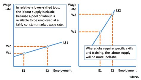 Labour Supply - Determinants of Elasticity… | Economics | tutor2u