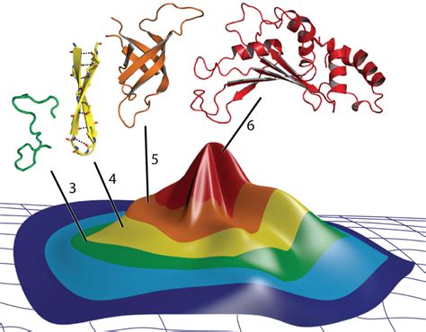 How Protein Evolution Could Answer One of Biology’s Greatest Questions ...