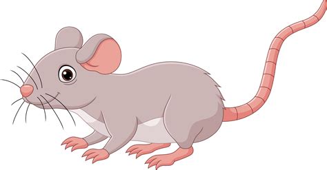 Cartoon Mouse Clipart