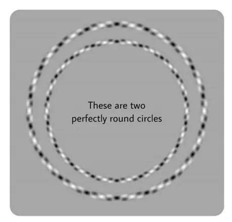 Perfect circles : r/illusionporn