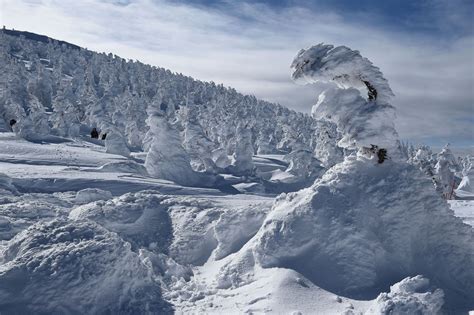 Juhyo: The Snow Monsters on Japan’s Mount Zao - The Atlantic