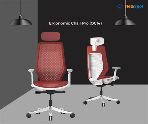 6 Most Amazing Ergonomic Massaging Office Chairs in 2022 | FlexiSpot