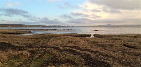 Islay - Hebridean Winter Wildlife - Oriole Birding