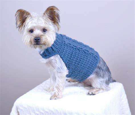 Easy Crochet Dog Sweater for Small Dogs - Garcia Dentoorse