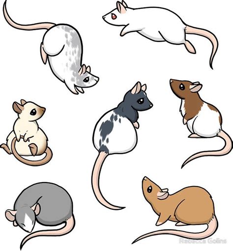 Cute Ratties | Cartoon rat, Cute rats, Cute drawings