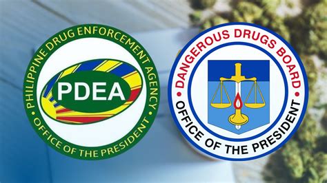 PDEA ‘thumbs up’ on legalizing medical marijuana; DDB defers to health ...