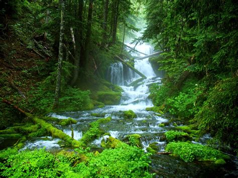 landscape, Nature, Tree, Forest, Woods, River, Waterfall Wallpapers HD ...