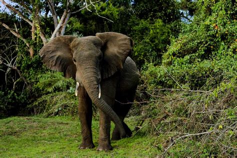 2 Days Akagera National Park Safari & boat ride on Lake Ihema