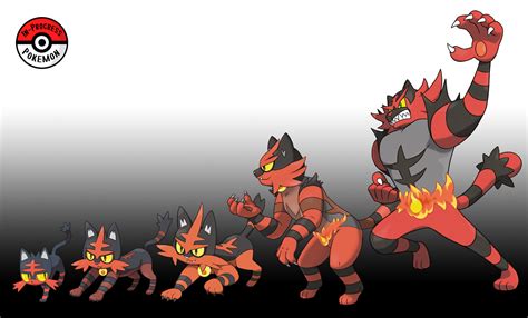 In-Progress Pokemon Evolutions | #725.5 - When Litten are young, these ...