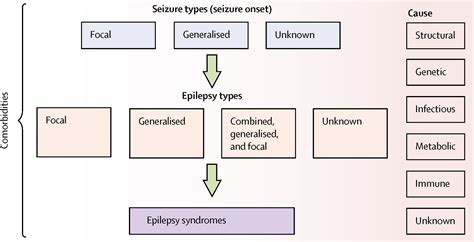 Epilepsy in adults - The Lancet