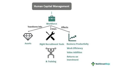 Human Capital Management - What Is It, Functions, Examples