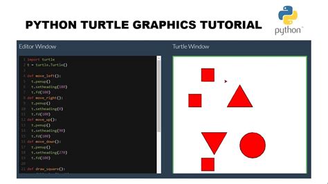 Python Turtle Graphics: Draw Shapes Using Functions and Keyboard Input ...