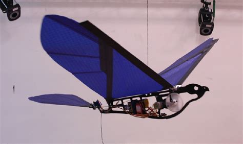 Design and construction of an autonomous ornithopter | Semantic Scholar