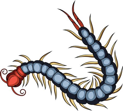 Red Chinese Centipede Clipart - Full Size Clipart (#5718980) - PinClipart