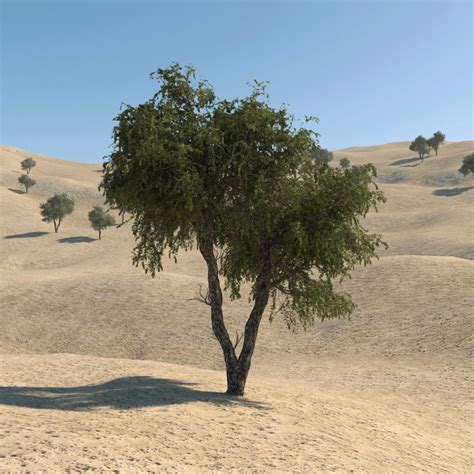 Ghaf Tree 02 3D Model $30 - .unknown .fbx .max - Free3D