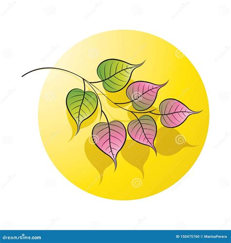 Pink and Green Peepal Tree Leaves Branch Stock Vector - Illustration of ...