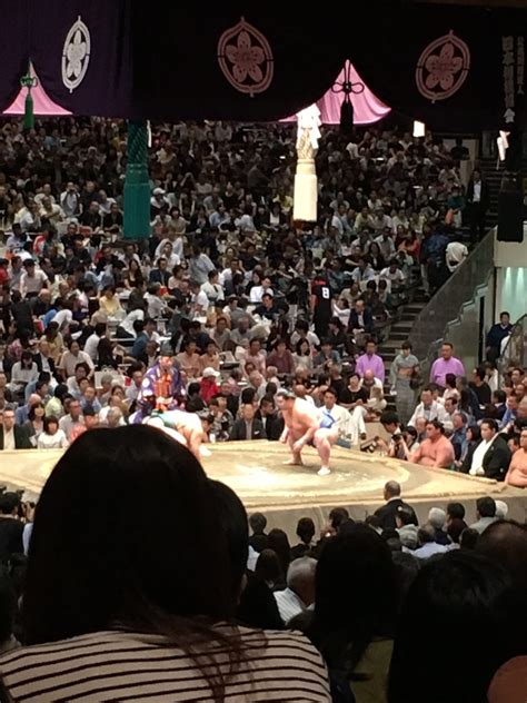 Sumo Tournament in Tokyo – Japan Travel Lovers