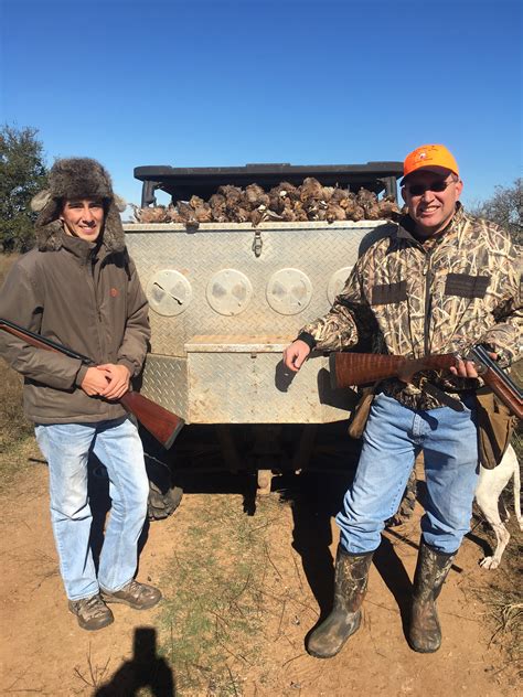 Quail Hunting - Guided Quail Hunts in Texas | Schmidt Double T Ranches