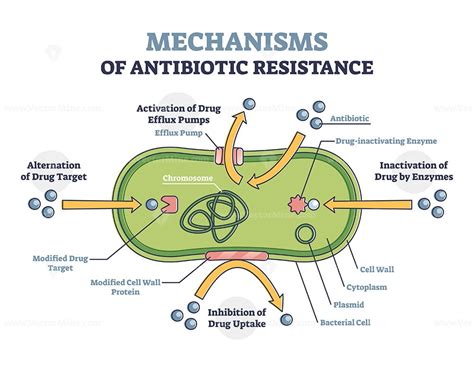 Antibiotic resistance outline diagram, illustrated mechanism in ...