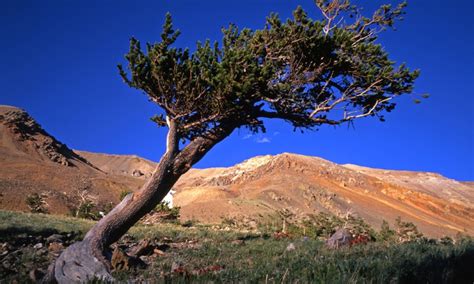 Arapaho National Forest, Colorado - AllTrips