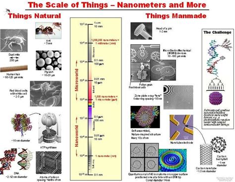 4. The nano scale. Schematic showing the size scale of objects compared ...