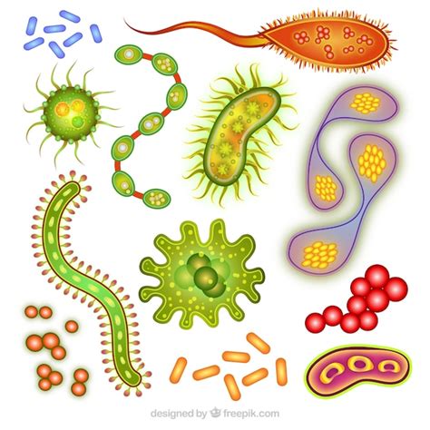 Microbiologia | Fotos y Vectores gratis