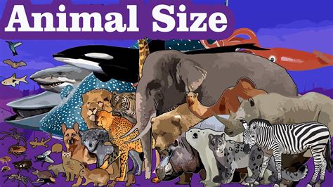 "From Tiny to Giant: Ultimate Animals Size Comparison 2021" - YouTube