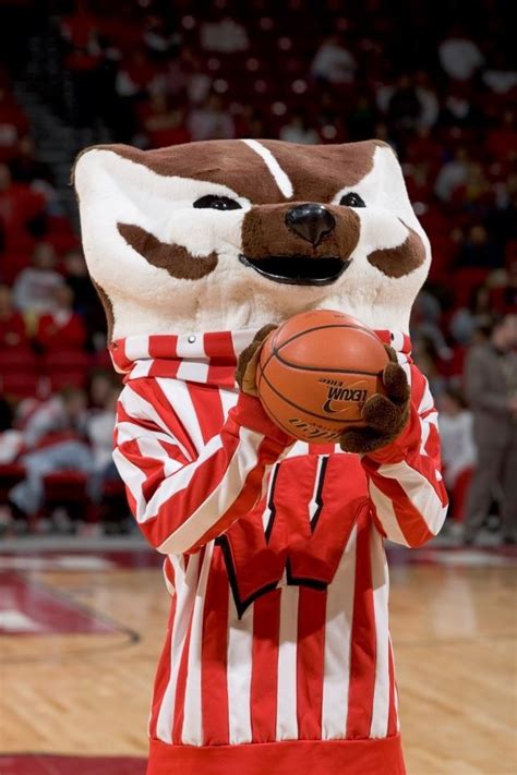 Bucky and hoops | Wisconsin badgers, Wisconsin badgers basketball ...