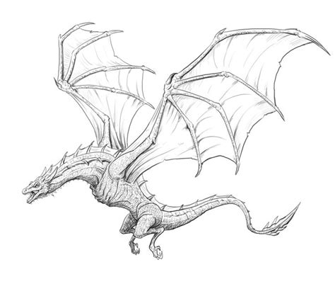 How to Draw a Dragon - Step By Step Tutorial