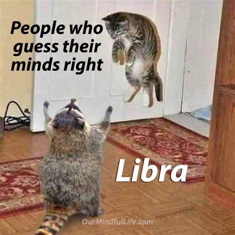 33 Funny Libra Memes That Are Calling You Out - Our Mindful Life