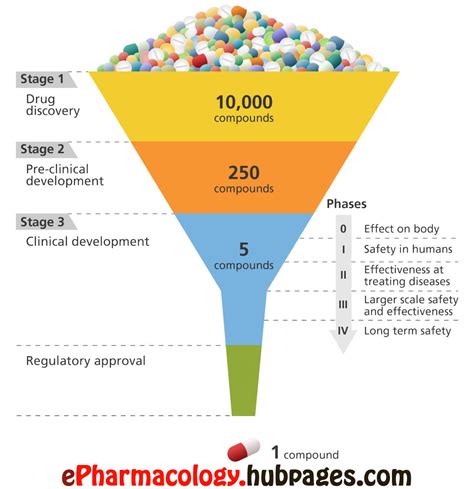 How are drugs developed and approved? The drug development process ...