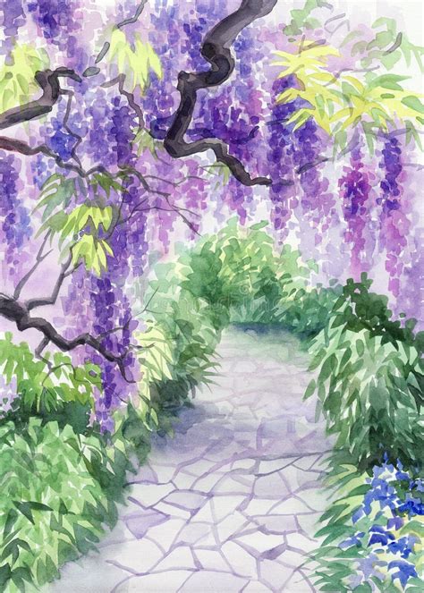 Wisteria Blossom Stock Illustrations – 833 Wisteria Blossom Stock ...