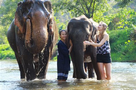 Elephant Sanctuary tours Chiang Mai