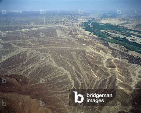 Aerial view of Nazca Lines representing a bird figure (photography, 1983)