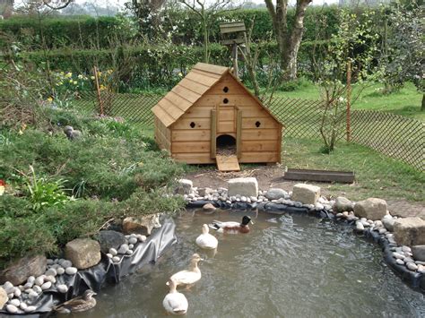 Duck house | Backyard ducks, Chickens backyard, Backyard farming