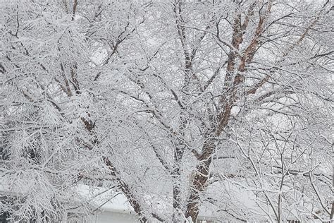 March 11-12, 2023 Snow Totals In Northern Minnesota & Wisconsin