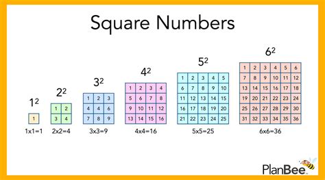 Square Numbers facts and information | A PlanBee Blog