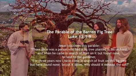 The Parable of the Barren Fig Tree - Luke 13:1-9 - Catholic Daily ...