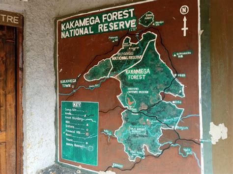 Hike 032: Kakamega Forest – Hiking Adventures