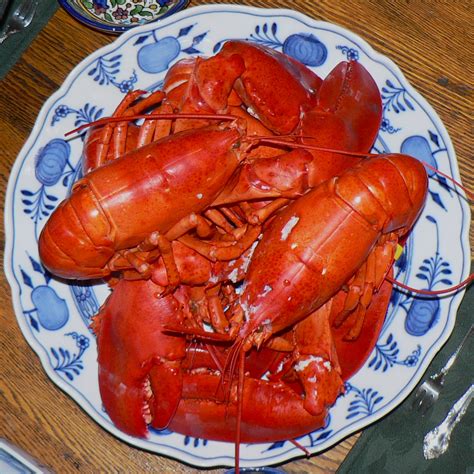 File:Boiled Maine Lobster.jpg - Wikimedia Commons