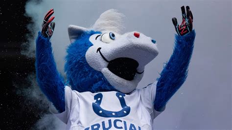 Colts, Build-A-Bear introduce plush version of Blue mascot | wthr.com