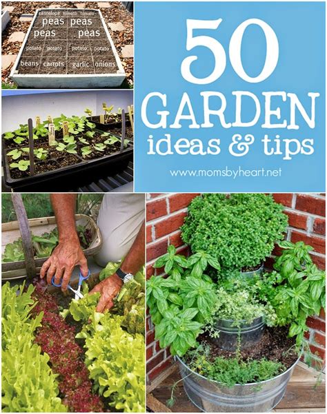 50 Gardening Ideas & Tips - DIY Craft Projects