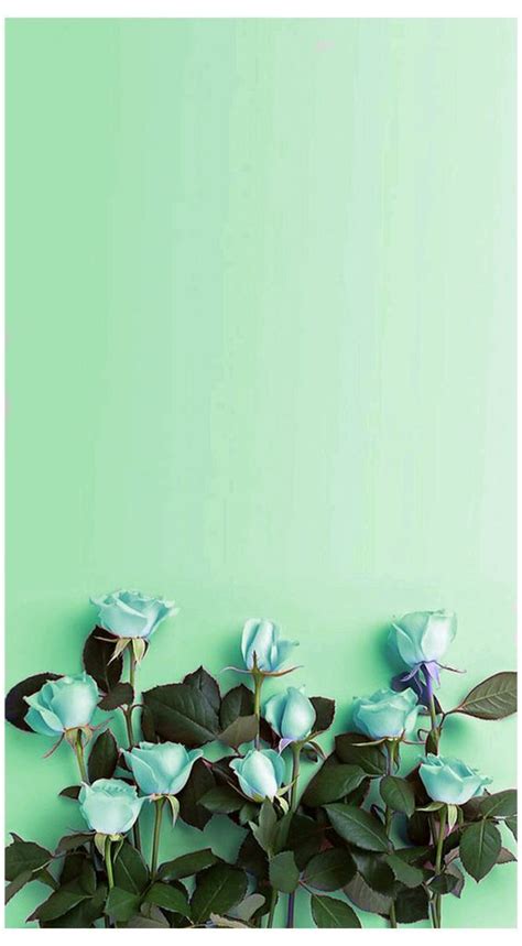 40 Mint Green Wallpaper Backgrounds For Iphone | Mint green wallpaper ...