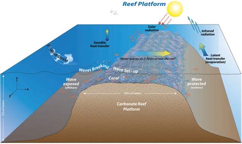 Circulation and Exchange on Coral Reefs – Coastal Dynamics Laboratory