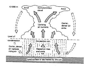 Convectional Rainfall - INSIGHTS IAS - Simplifying UPSC IAS Exam ...