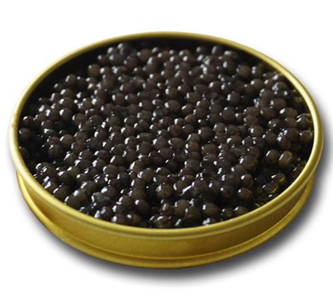 Beluga Caviar – Attilus Caviar